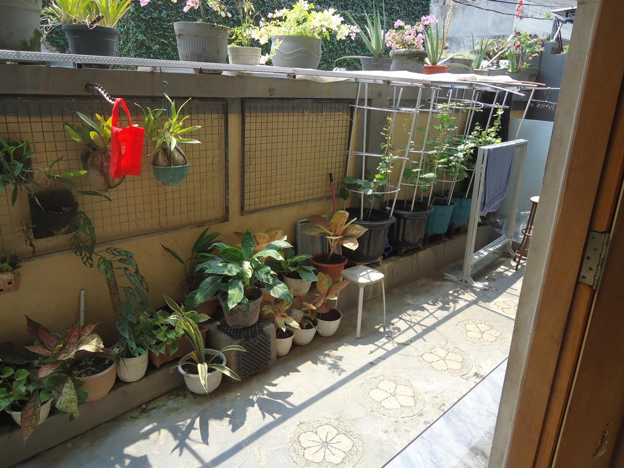 Kerobokan The Reinhold Guesthouse Bali מראה חיצוני תמונה
