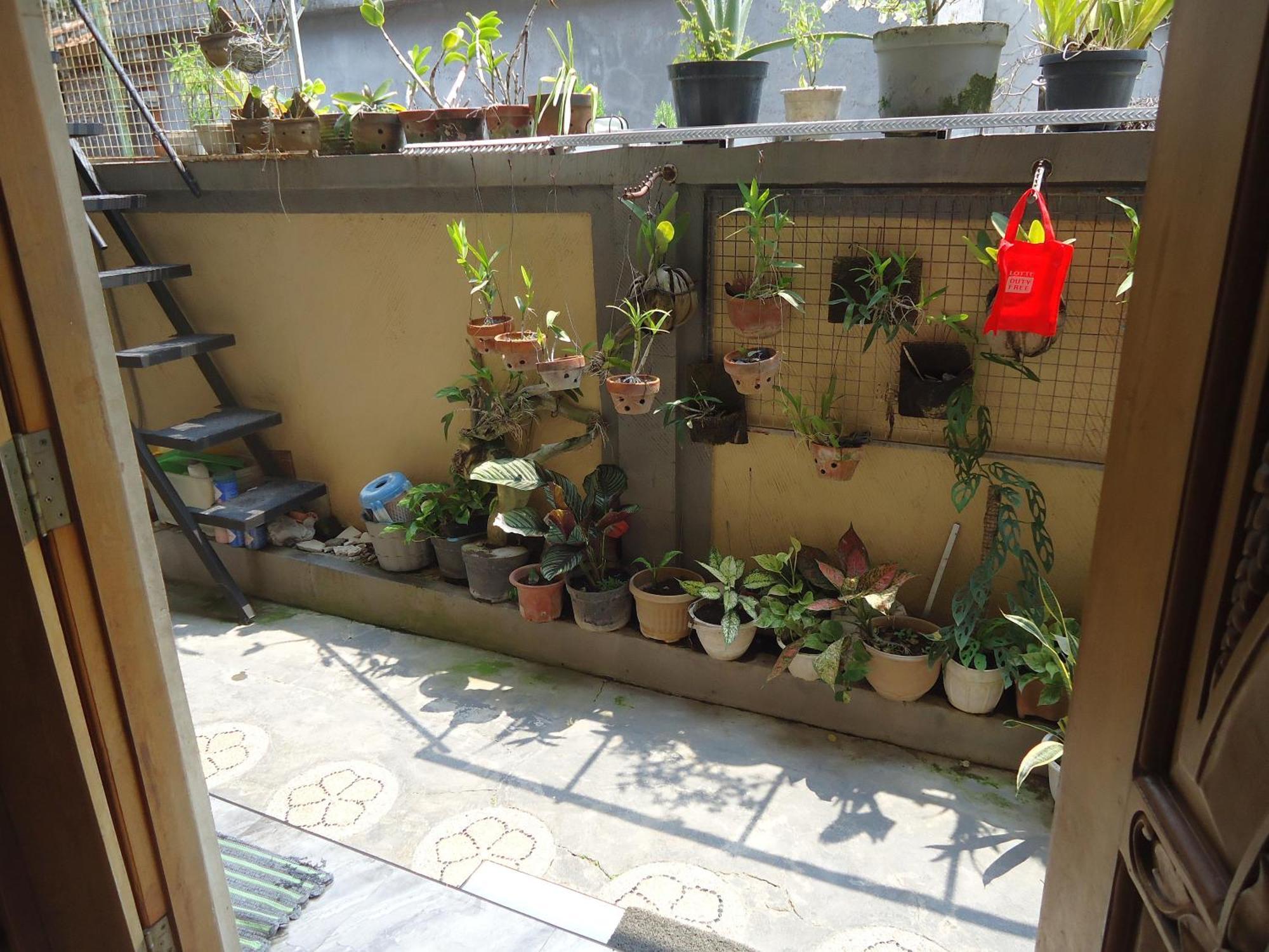 Kerobokan The Reinhold Guesthouse Bali מראה חיצוני תמונה